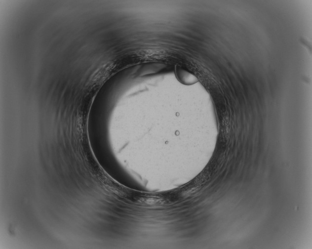 X0000090970506200708301229