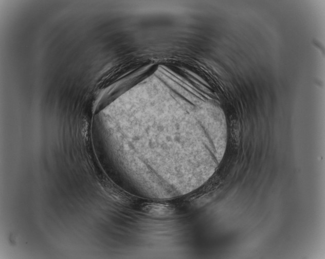 X0000090970507200708301229