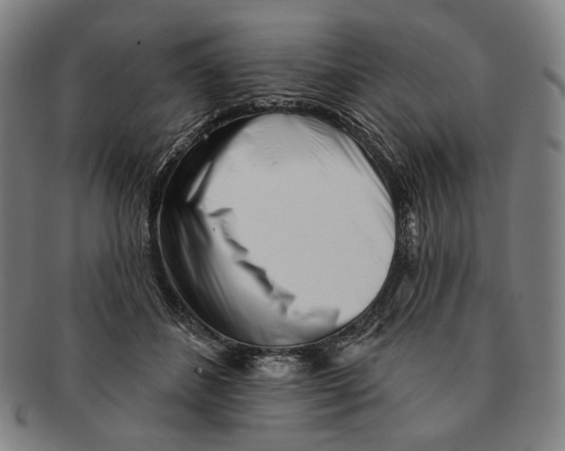 X0000090970508200708301229
