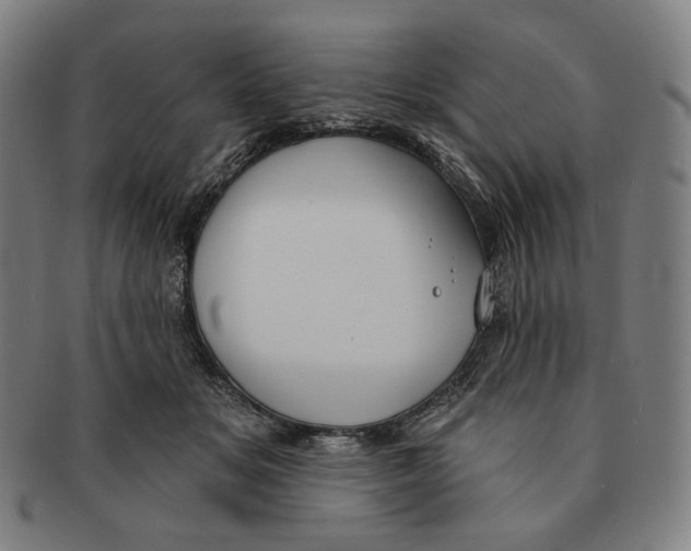 X0000090970509200708301229
