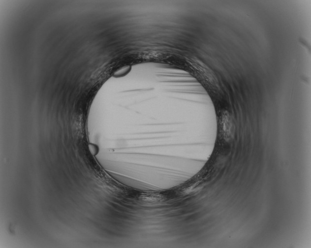X0000090970510200708301229