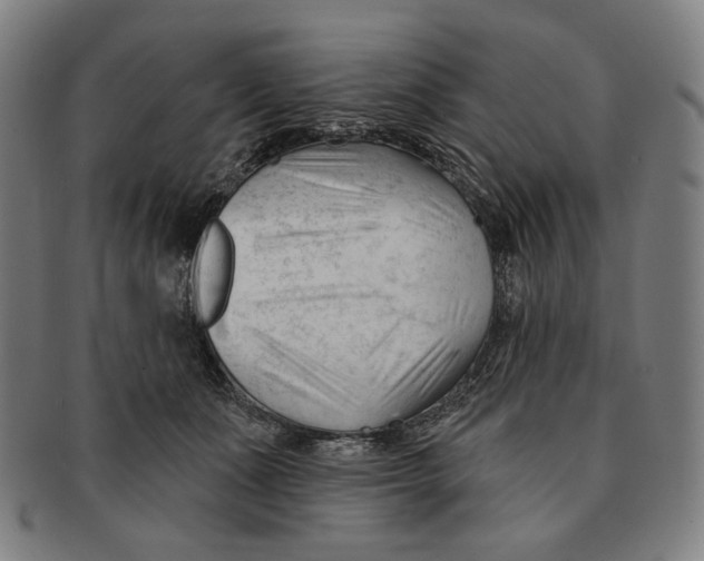 X0000090970511200708301229
