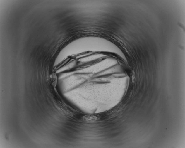 X0000090970512200708301229