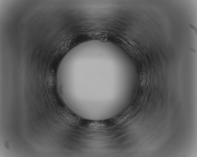 X0000090970515200708301229