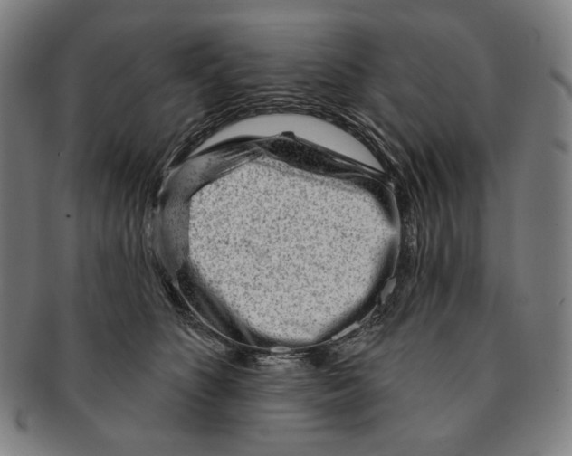 X0000090970516200708301229