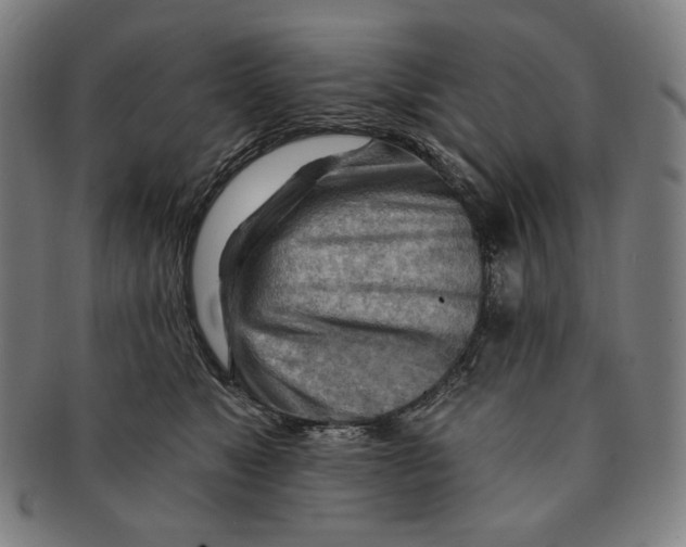 X0000090970517200708301229