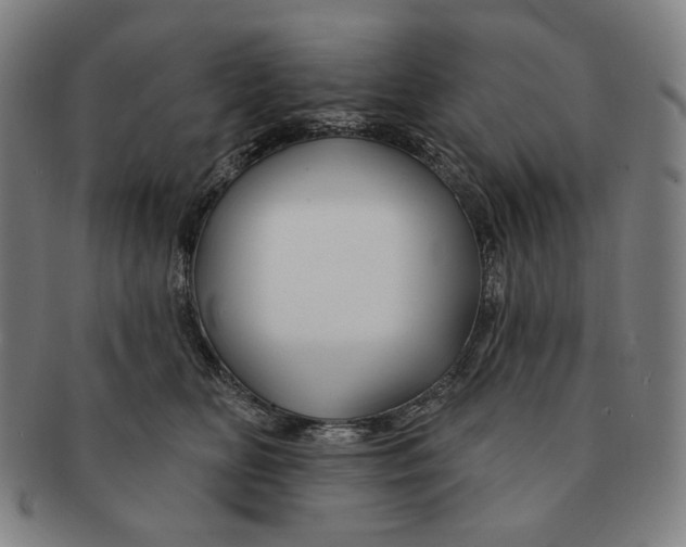 X0000090970518200708301229