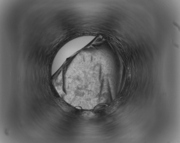 X0000090970519200708301229