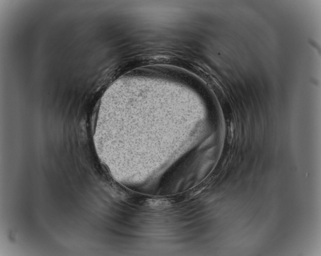 X0000090970520200708301229
