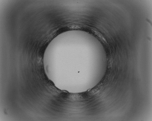 X0000090970521200708301229