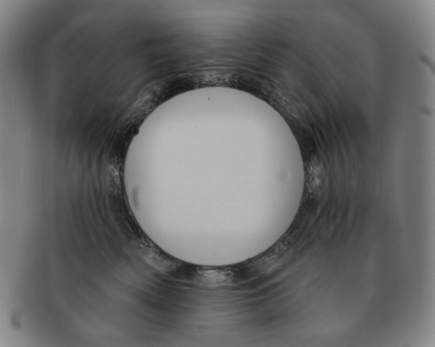 X0000090970522200708301229