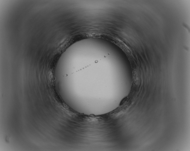 X0000090970523200708301229