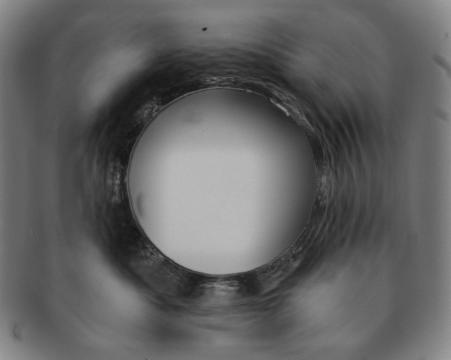 X0000090970525200708301229