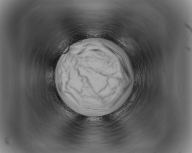 X0000090970526200708301229
