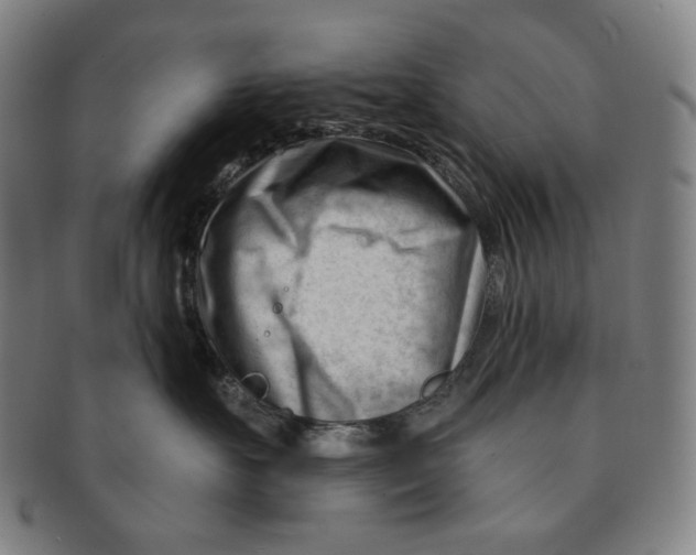 X0000090970527200708301229