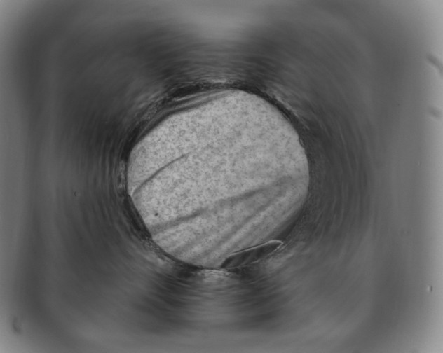 X0000090970528200708301229