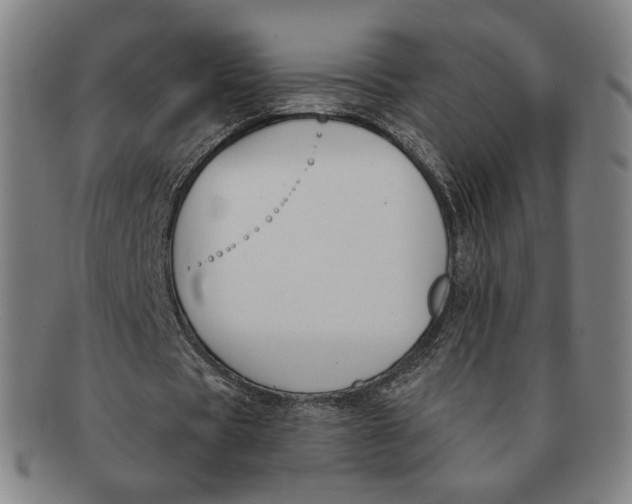 X0000090970529200708301228