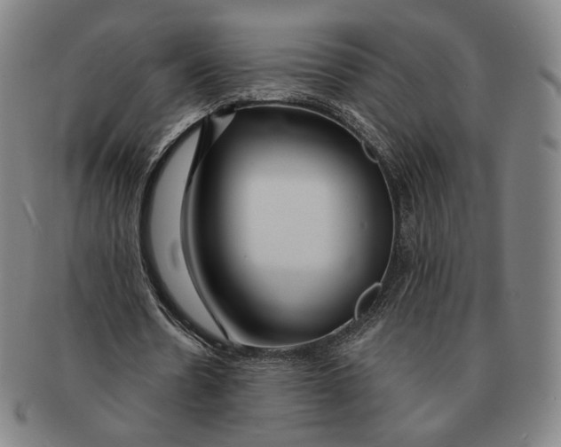 X0000090970530200708301228