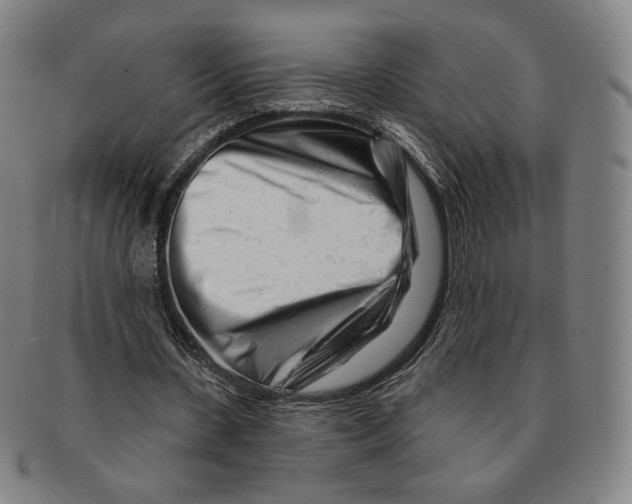 X0000090970531200708301228