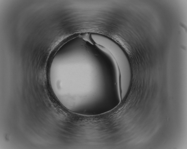 X0000090970532200708301228