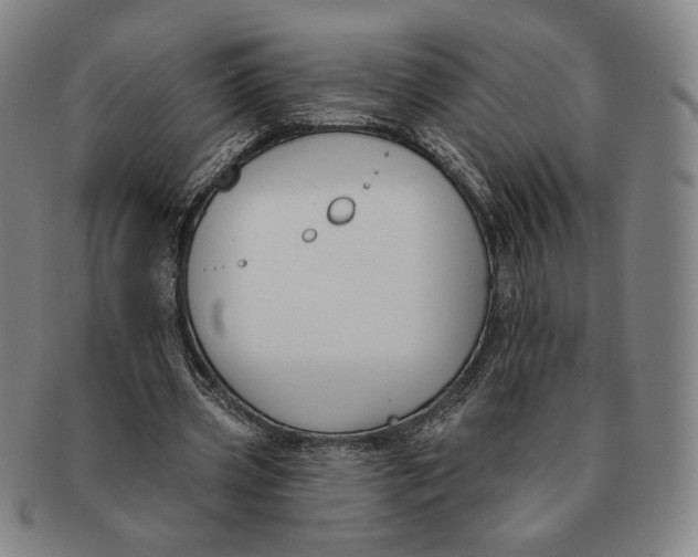 X0000090970533200708301228