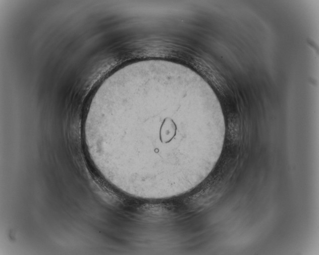 X0000090970534200708301228