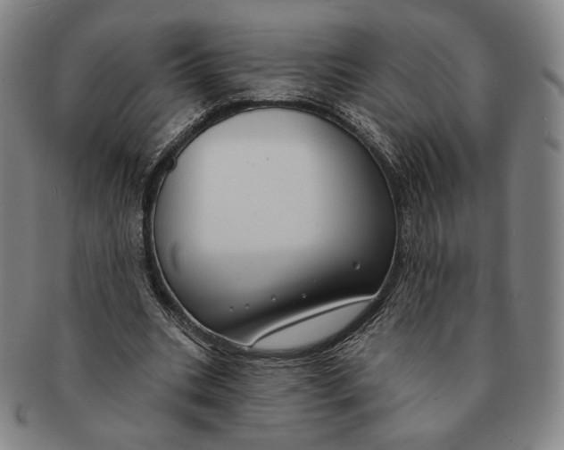 X0000090970535200708301228