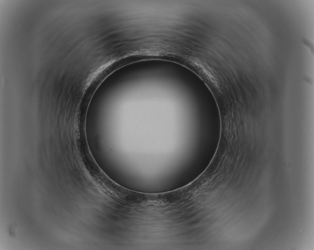 X0000090970536200708301228