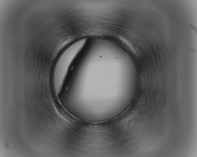 X0000090970538200708301228