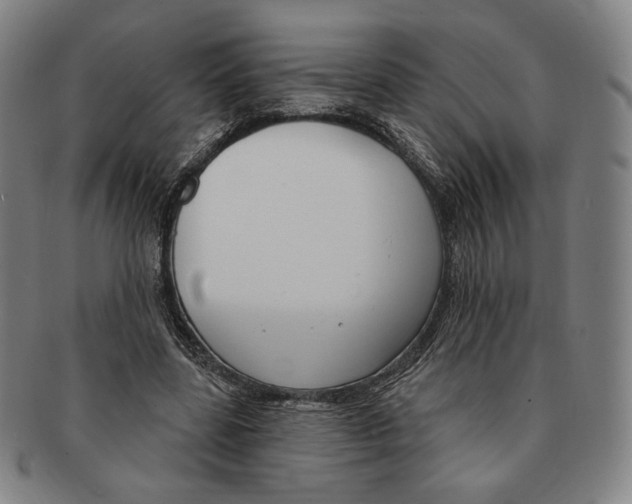X0000090970539200708301228