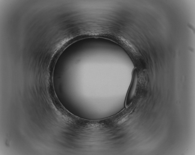 X0000090970540200708301228