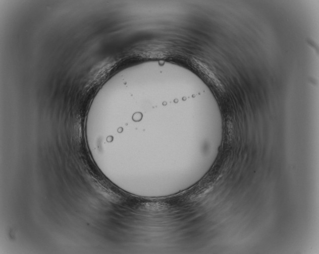 X0000090970541200708301228