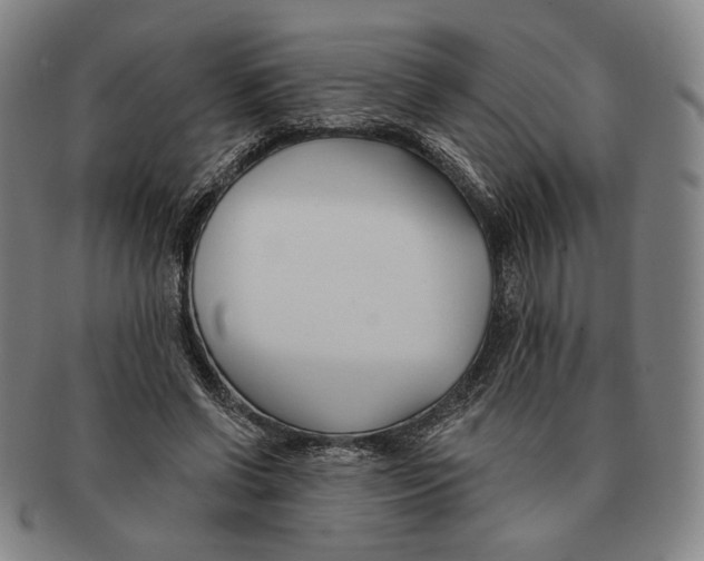 X0000090970542200708301228