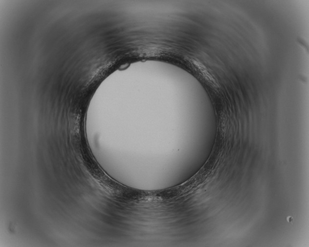 X0000090970543200708301228