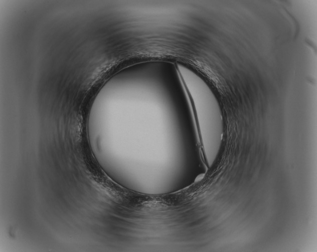 X0000090970544200708301228