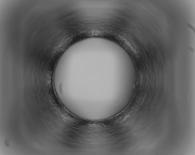 X0000090970545200708301228