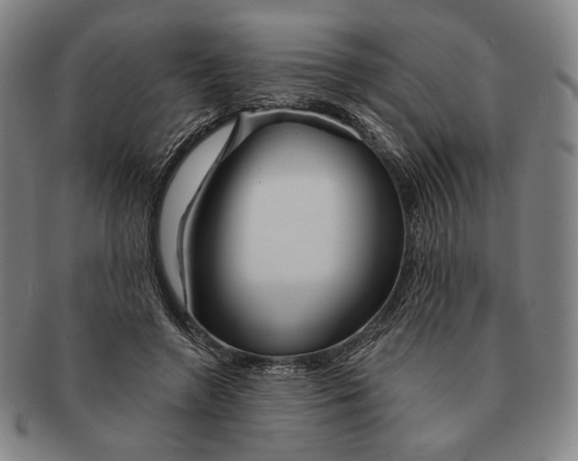 X0000090970546200708301228