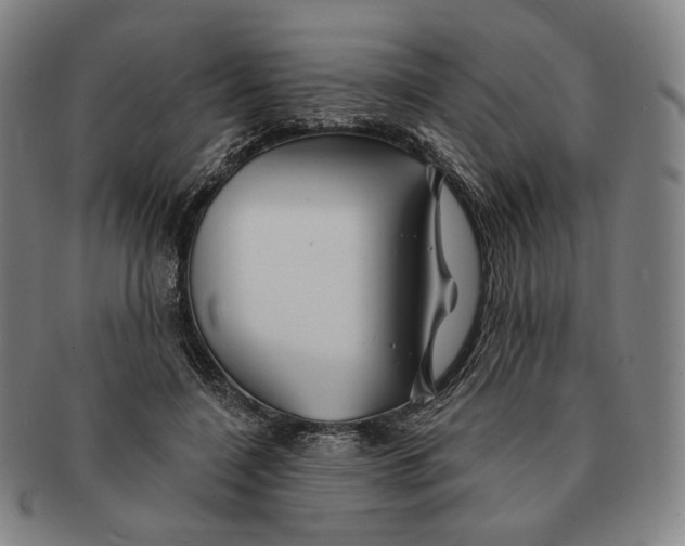 X0000090970548200708301228
