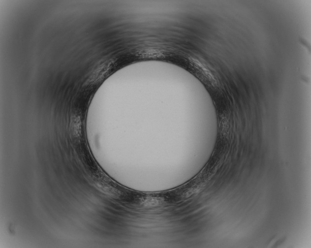 X0000090970549200708301228