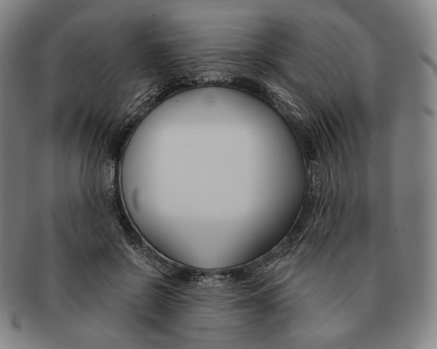 X0000090970550200708301228