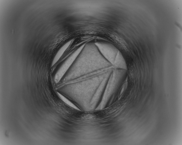 X0000090970551200708301228