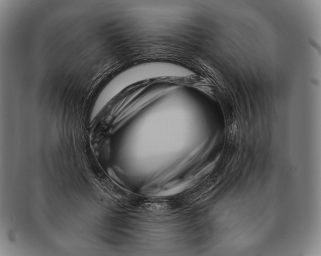 X0000090970552200708301228