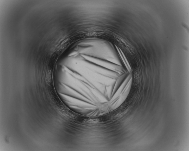 X0000090970554200708301228