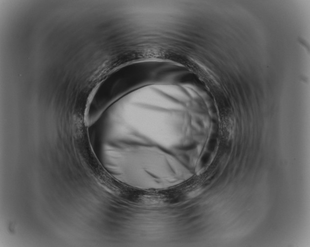 X0000090970556200708301228