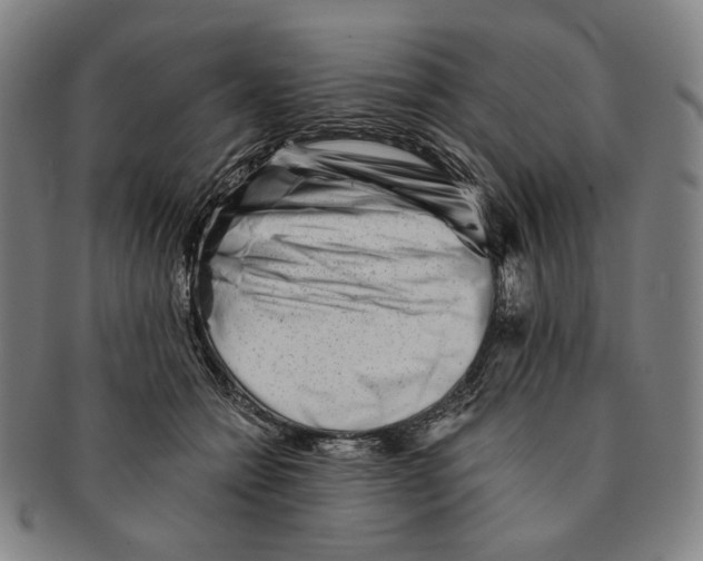 X0000090970558200708301228