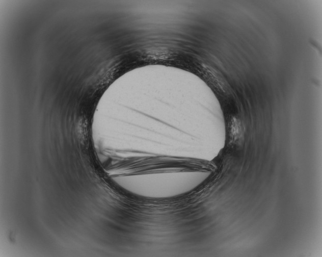 X0000090970559200708301228