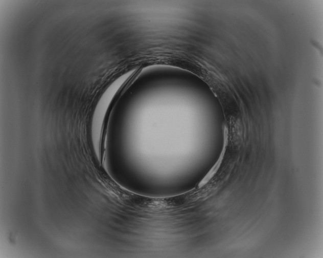 X0000090970562200708301228