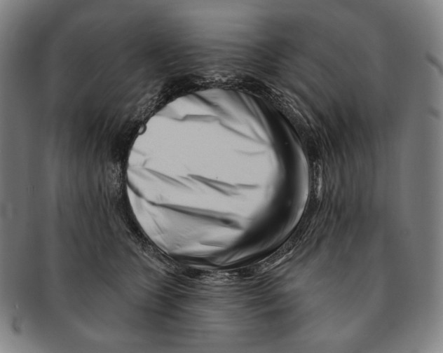 X0000090970563200708301228
