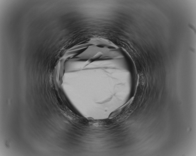X0000090970564200708301228