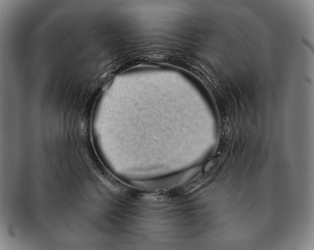 X0000090970568200708301229